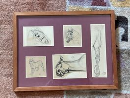 Ferdinand OGER (1872-1929) tableaux Série de 5 dessins