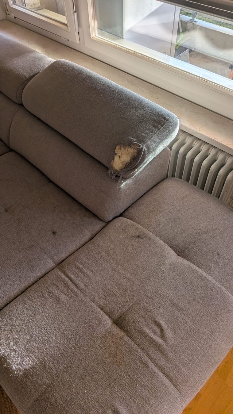 Sofas: Sofa gratis – D'occasion à Birsfelden par mtu_qv7k 3