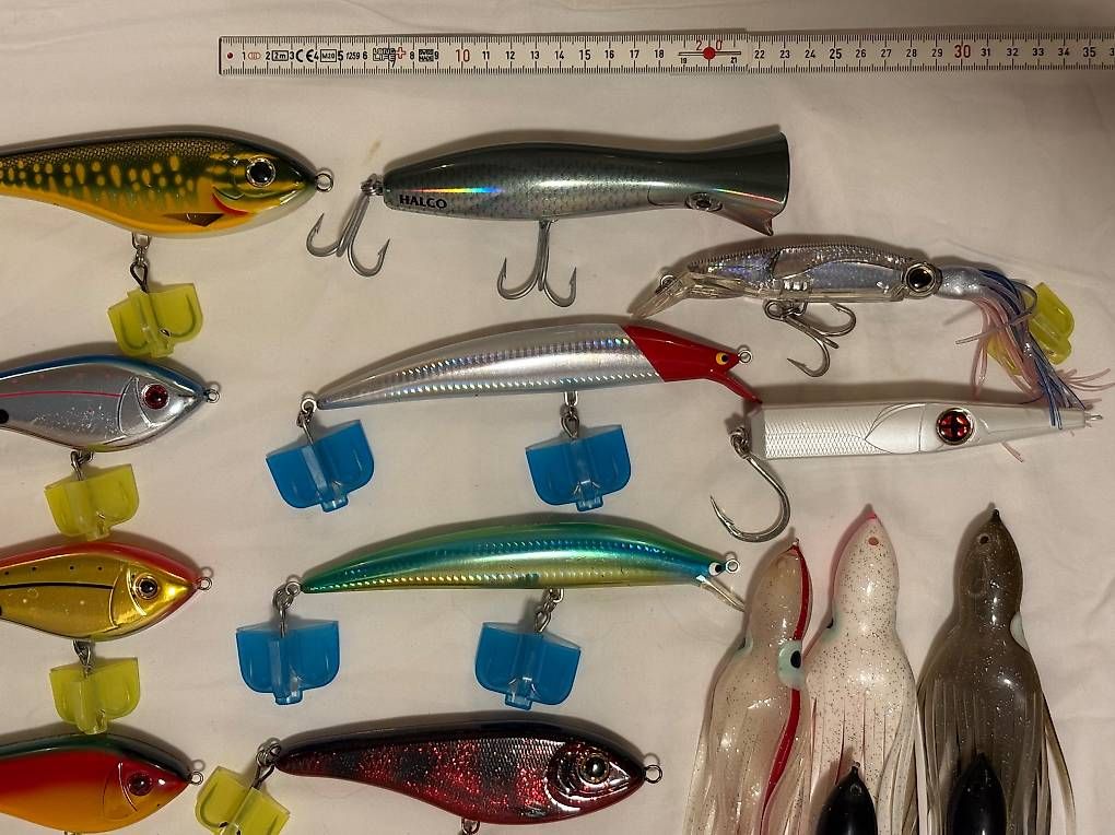 Esche: Mega-Set Meeresköder: Jigs, Popper & Big Game Lures – Usato da Herrliberg venduto da axelvb 3