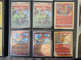 Victini Pikemon Kollektion