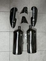 Schalldämpfer Original Triumph Speed Triple 1050