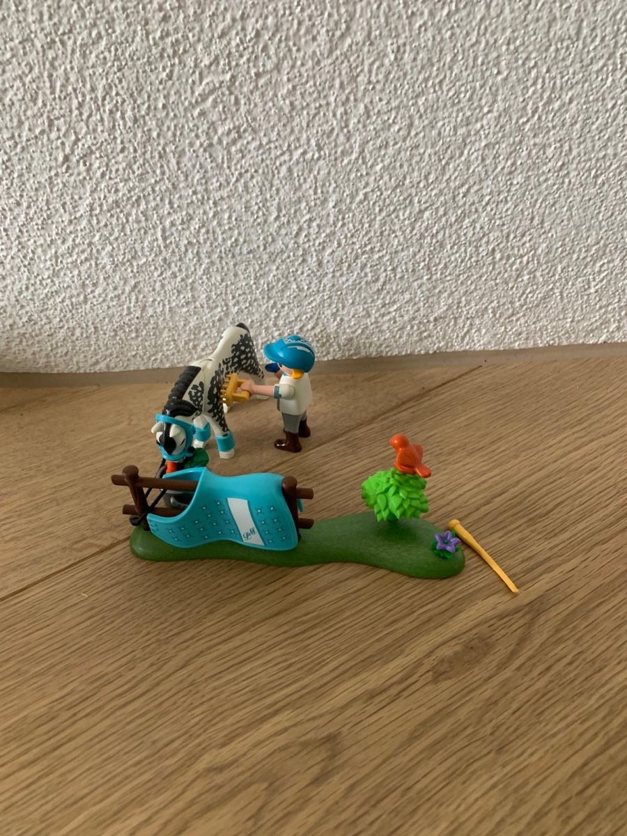 Playmobil Spielzeuge: Playmobil Pony mit Mädchen 70522 – Gebraucht aus Riedholz von Elch121 2