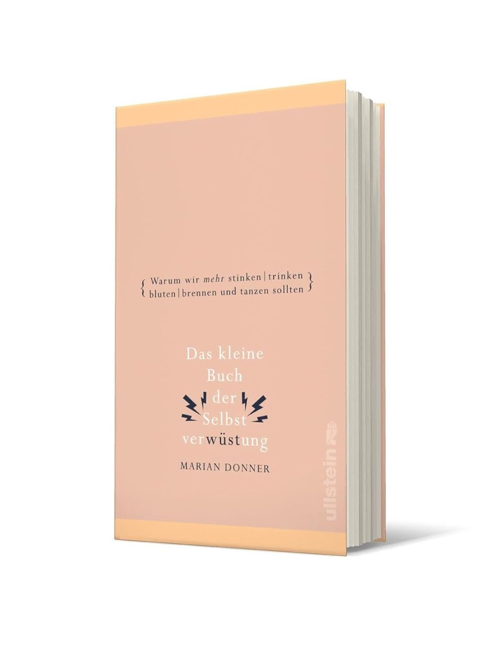 Libri: Das kleine Buch der Selbstverwüstung – Usato da Neuchâtel venduto da Dualseele