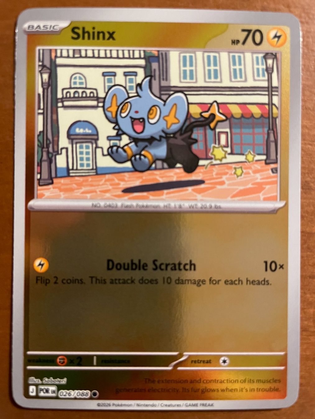 Pokémon Carte collezionabili: Pokemon Shinx Reverse (Versand gratis) – Nuovo (secondo la descrizione) da Chur venduto da Angerson
