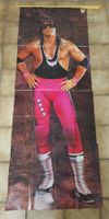 WWE Wrestling Poster Bret Hart lebensgross Starschnitt WWF