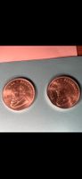 2x Krugerrand Silbermünzen 1 Unze 2025 gebraucht