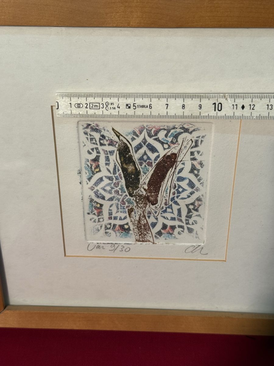Dipinti: Signed Limited Edition Framed Etching - Autumn Birds – Usato da Lausanne venduto da vas_cdb2 3