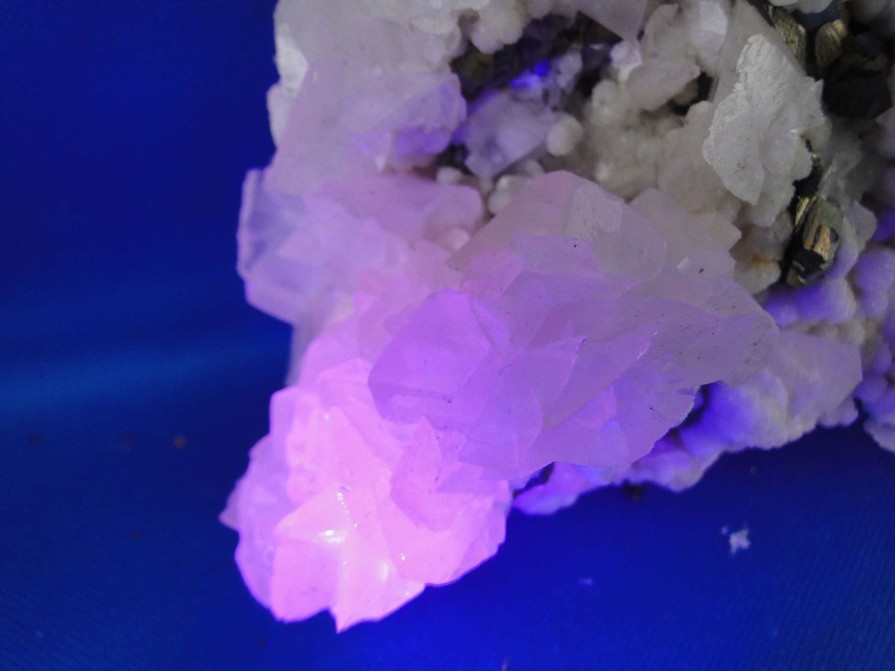 Minerali & Pietre curative: Calcit (UV-Pink) mit Arsenopyrit – Usato da Schinznach Bad venduto da Demerald 7