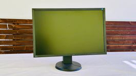 LCD Monitor EIZO FlexScan Energie-Spar-Monitor
