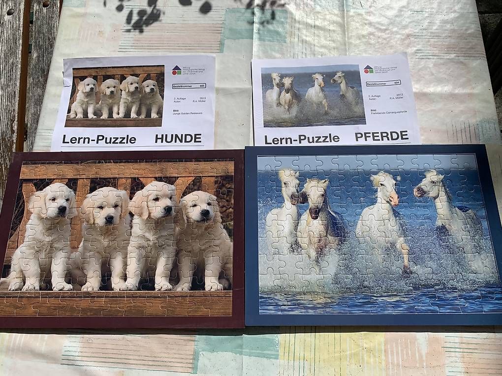 Puzzle: 2 Lernpuzzles – Nuovo e nell'imballaggio originale da Zürich venduto da lil_xr6x