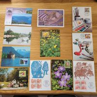 Lot de Carte Maximum