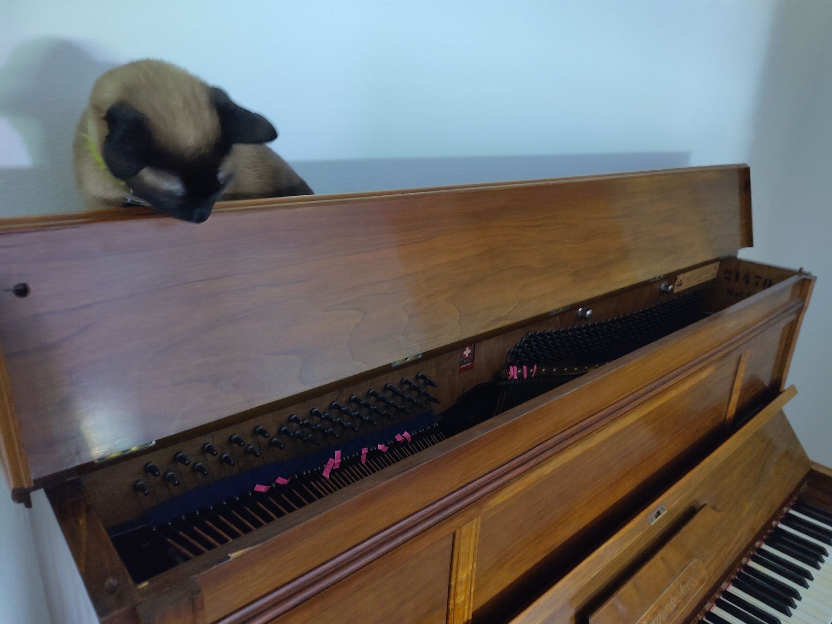 Strumenti musicali: Piano Burger & Jacobi, circa 1900-1920 – Usato da Fribourg venduto da Syxal 1