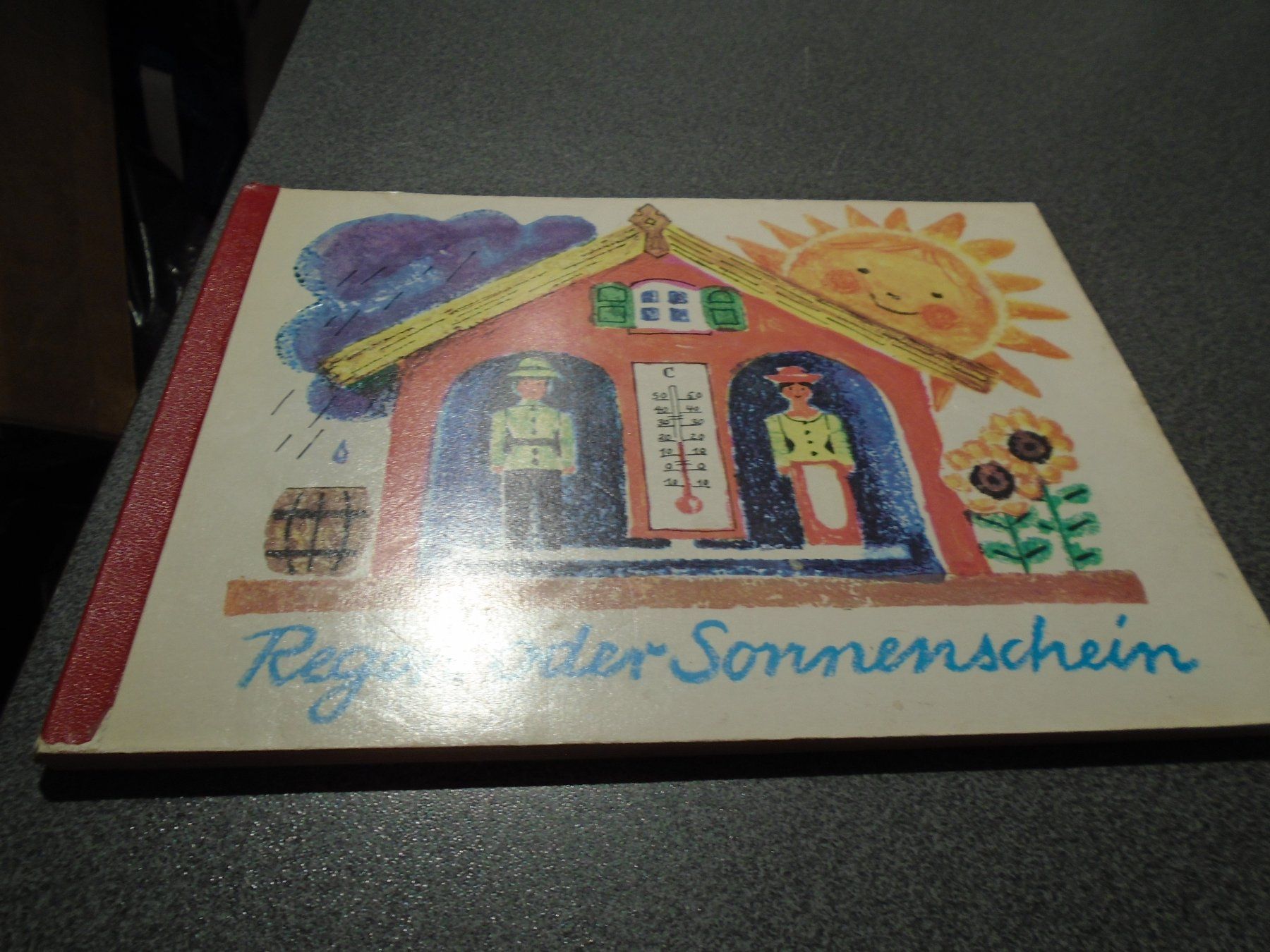 Libri: Regen oder Sonnenschein – Usato da Zürich venduto da abraxas1291