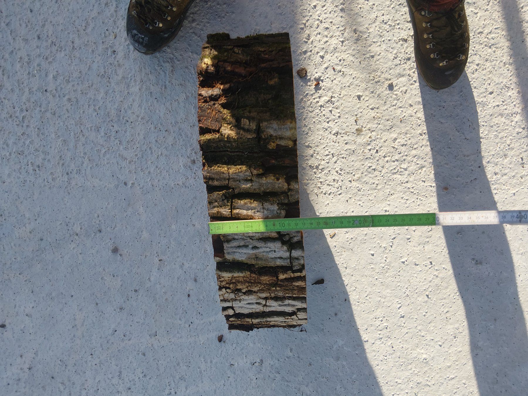 Holzartikel: Nussbaum Holzscheibe Nr. 2 Dekoration – Neu (gemäss Beschreibung) aus Affoltern am Albis von ret_6x6z 2