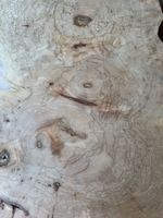 Holzscheibe Ahorn