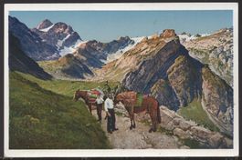 Meglisalp  m.  Altmann Nr 31  Saumpferde