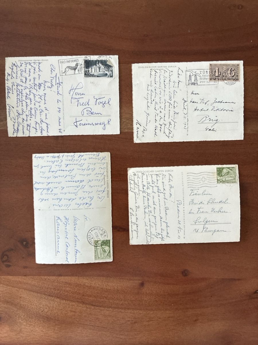 Cartoline postali: 11 Ansichtskarten Schweiz vom Zoo Zürich  – Usato da Oftringen venduto da Cla.vD.74 3