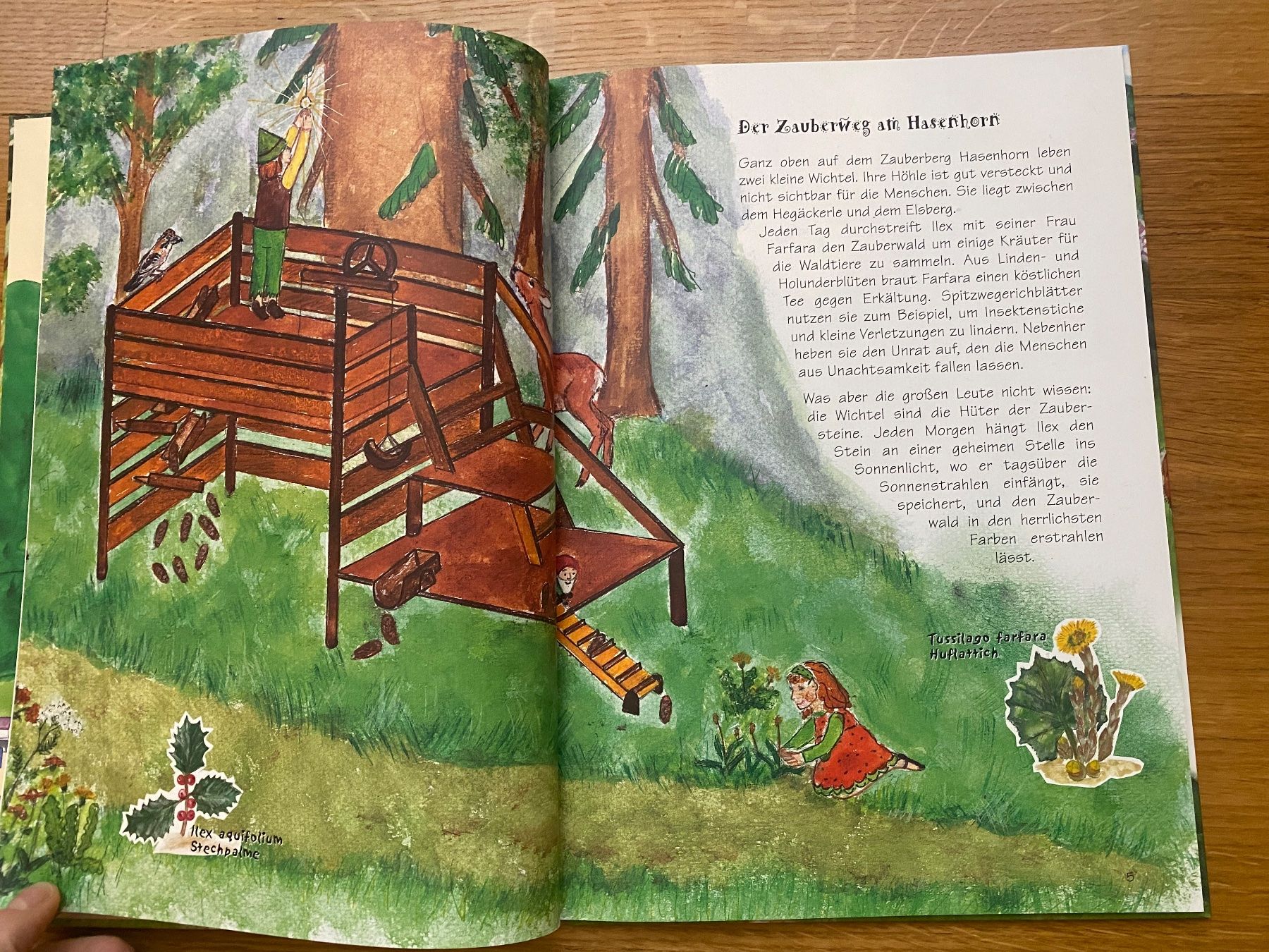 Bücher: Der Zauberweg am Hasenhorn – Neu (gemäss Beschreibung) aus Muttenz von Bugijeta 2