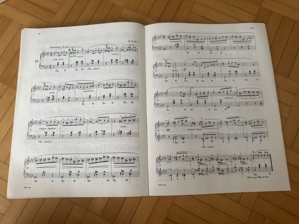 Libri: Klaviernoten Chopin Mazurkas – Usato da Urdorf venduto da robobespannung 3