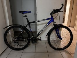 Velo ab 1.-