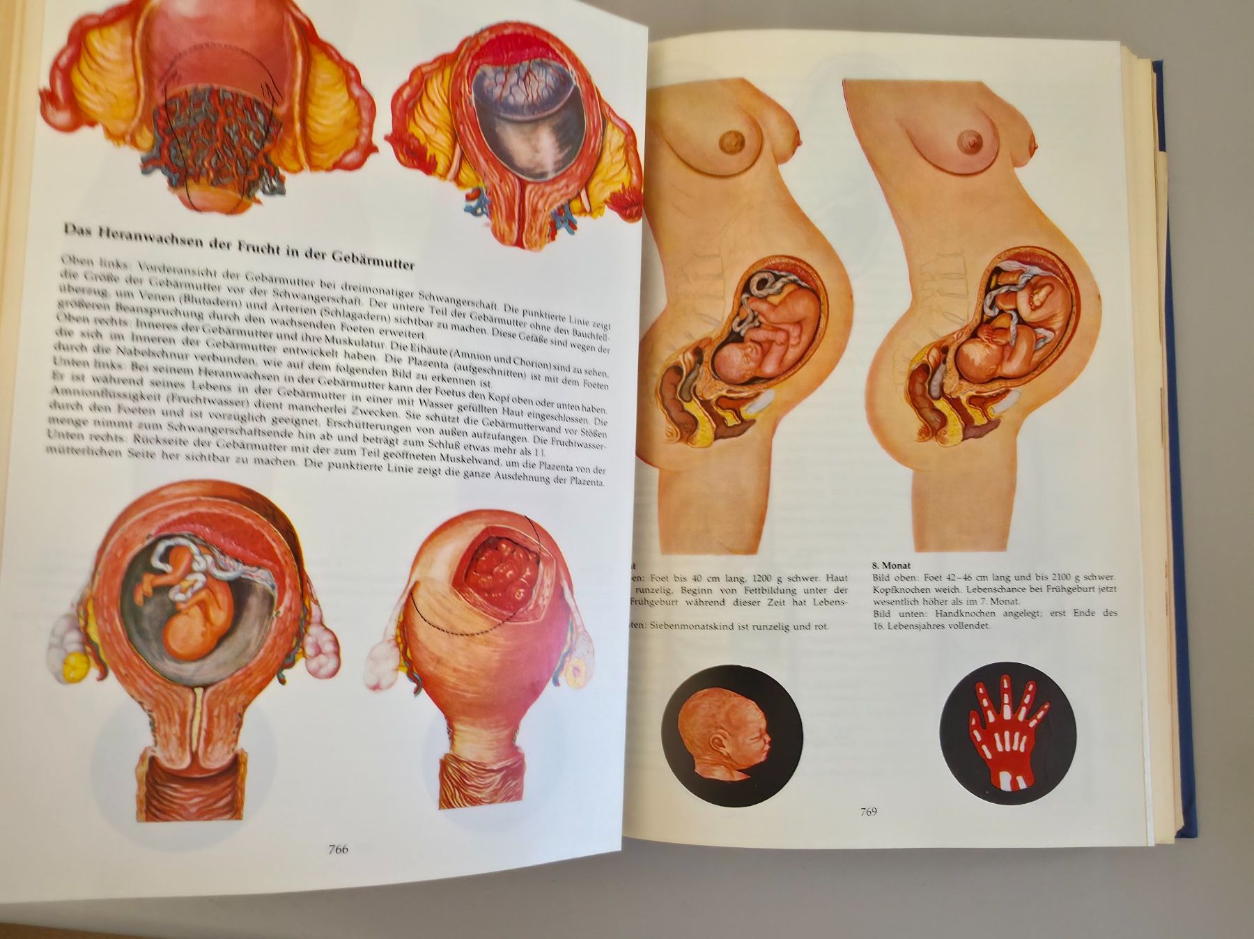 Libri: Grosses Reader's Digest Gesundheitsbuch - Verlag Das Beste – Usato da Birr venduto da DisDas 4
