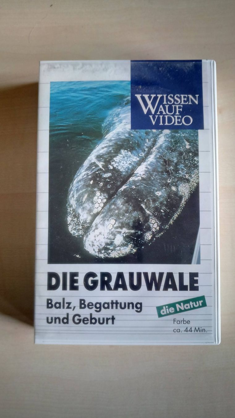 Alle VHS: VHS-Video "Die Grauwale" – Gebraucht aus Guttannen von zuberling