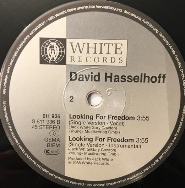 Dischi in vinile: David Hasselhoff – Looking for freedom (12'' Maxi-Single) – Usato da Grüningen venduto da azulvinyl 3
