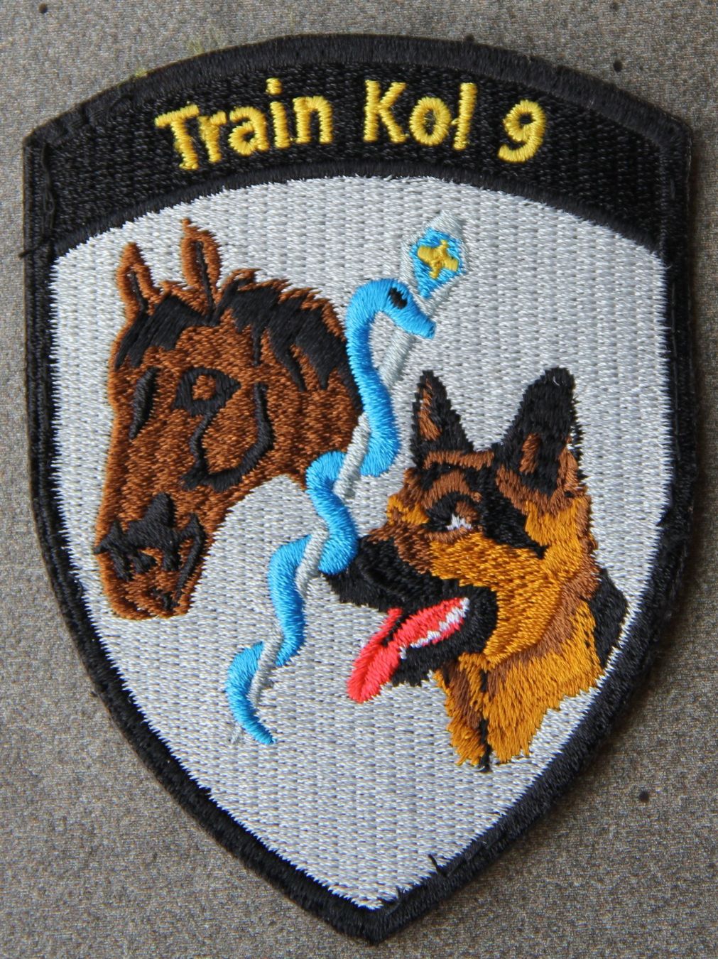 Armée suisse Plaquettes & Badges: Train Kol 9, Badge – D'occasion à Belp par Tomsek