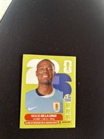 Panini URU 15