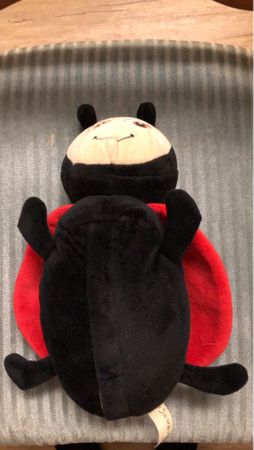 Süsser Marienkäfer Plüschtier sucht neues Zuhause 🐞