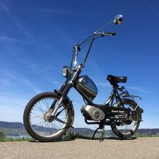 Profile image of Sachs_503_HG