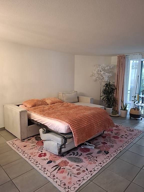 Sofas: Sofa Schlafsofa mit Stauraum – Gebraucht aus Möhlin von Backfan-Marina