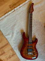 Cort G-Custom / G290 – Topmodell