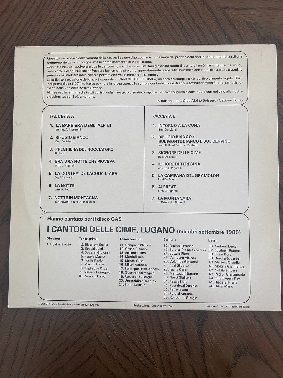 Dischi in vinile: Vinile Cent'anni in montagna – Usato da Giubiasco venduto da LorisVale 1