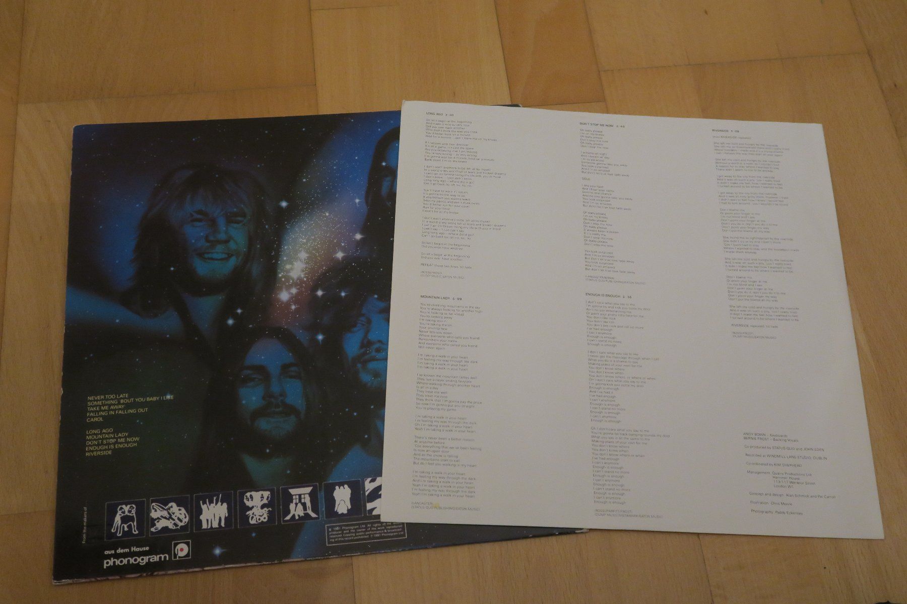 Dischi in vinile: Status Quo – Never Too Late – Usato da Thun venduto da Karibu70 2