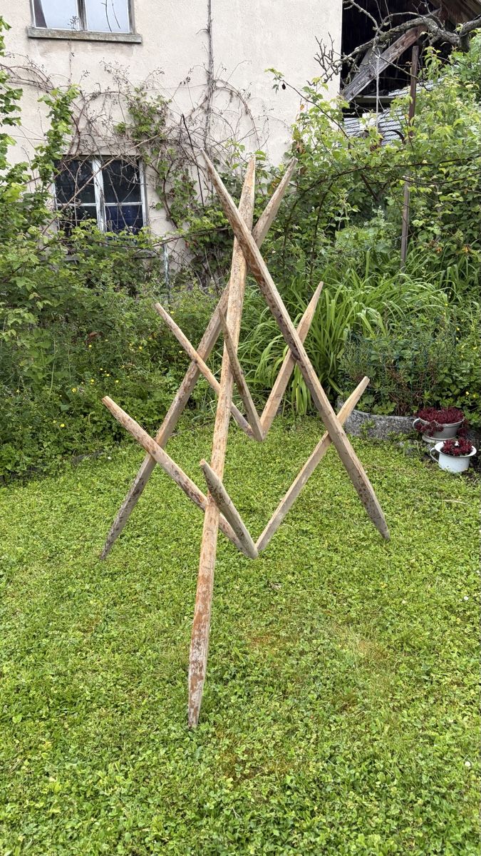 Altre Decorazioni per giardino: Holzheinze/Rankhilfe – Nuovo (secondo la descrizione) da Arisdorf venduto da Lerpi