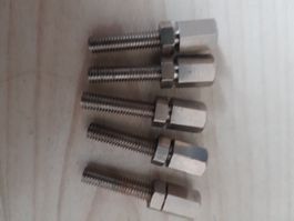Sachs 502 Stellschrauben M5 Chrom Neu 5 Stück