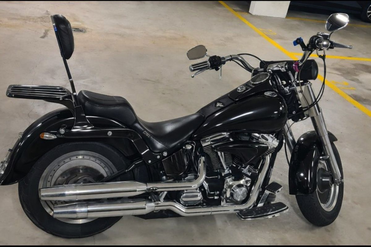 Harley-Davidson Altro: Harley Davidson Fat Boy – Usato da S. Nazzaro venduto da aischtemas 1