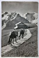 Maultierpost-Station First-Faulhorn, 1959