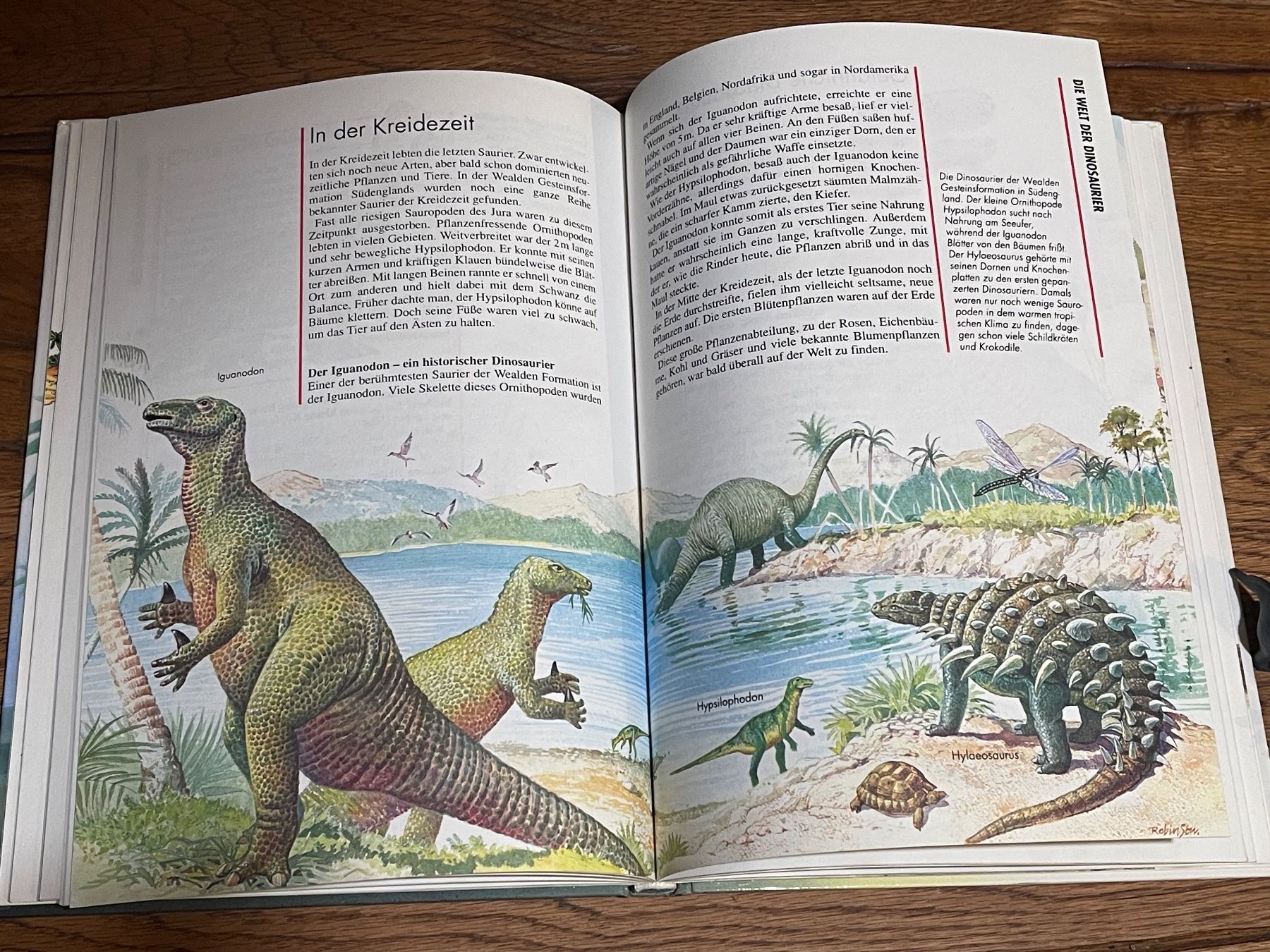 Bücher: Dinosaurier-Set mit Buch "Die Urzeit" für Kinder mit 2 Dinos – Gebraucht aus Zuerich von Dorsi 3