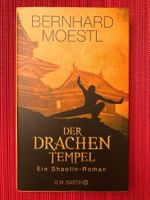 Bernhard Moestl, Der Drachentempel, Ein Shaolin-Roman