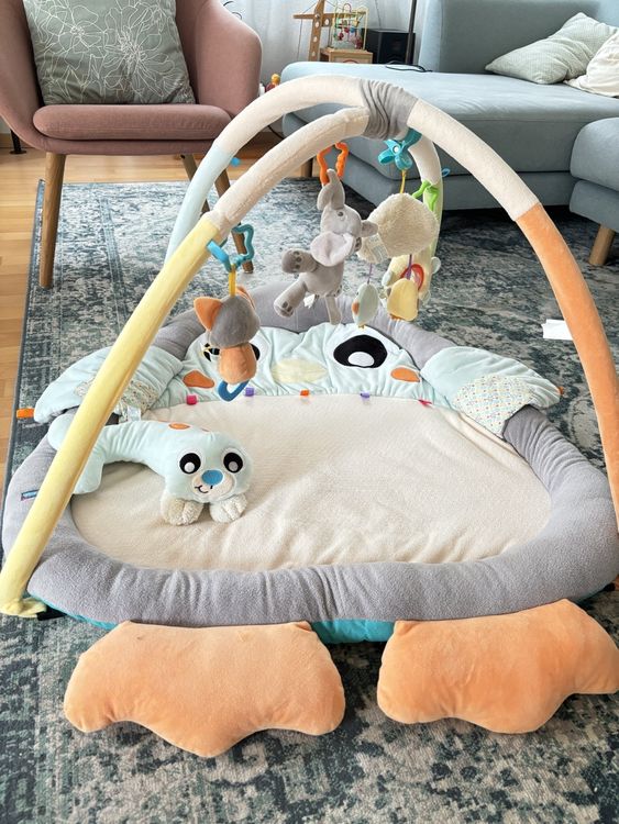 Krabbeldecke Mit Spielbogen