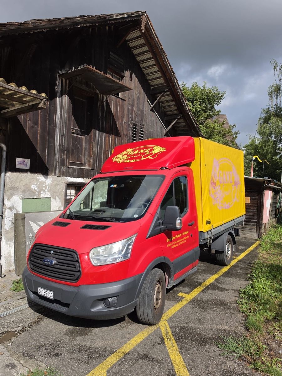Ford Veicoli commerciali: Ford Transit 310 S TDCI – Usato da Tann venduto da Corolla70-74