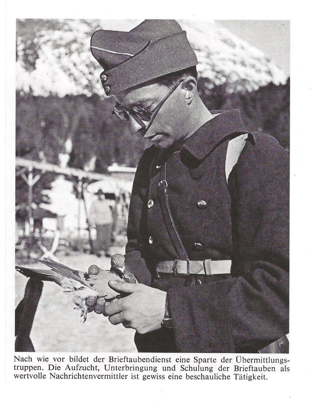 Cartes postales: Militär, 2. Weltkrieg, Brieftauben – D'occasion à Frauenfeld par Merk52