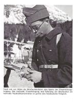 Militär, 2. Weltkrieg, Brieftauben
