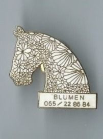 Placchette & Badge: Pferde  PIN – Usato da Zürich venduto da t24_de