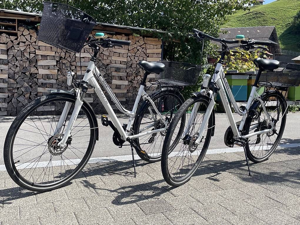 Biciclette: City-Bike 2 Stück – Usato da Stansstad venduto da Magnolie03 1