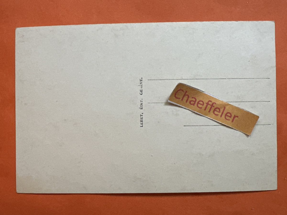 Cartoline postali: 100. Genève, Place du Molard – Usato da Zürich venduto da Chaeffeler 1