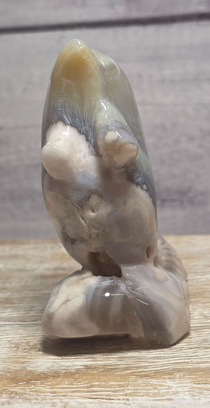 Minerali & Pietre curative: Blumenachat Delfin 237g – Nuovo e nell'imballaggio originale da Matzingen venduto da Shay_Crystalz 2