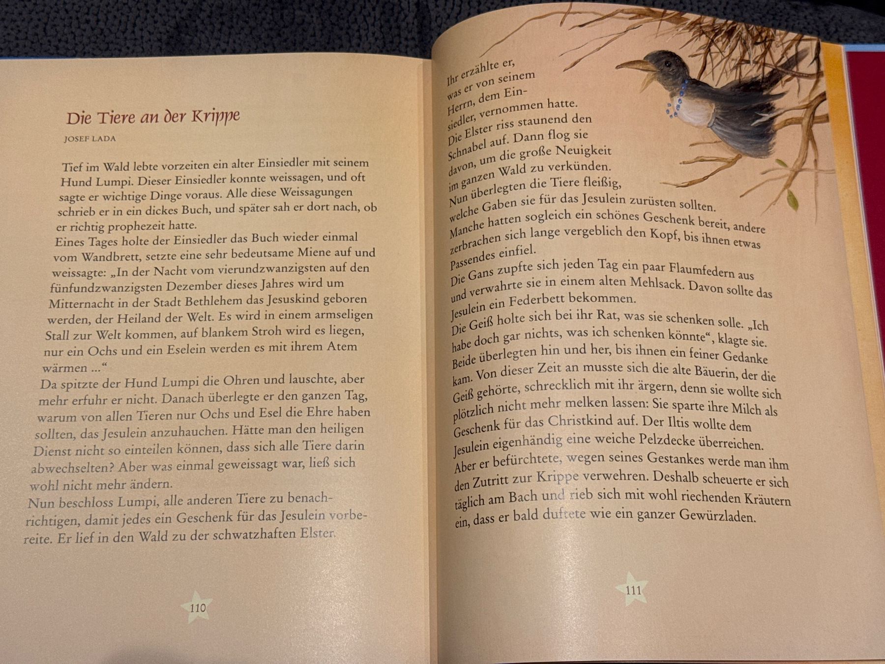 Libri: Buch Wintertraum und Sternenglanz – Nuovo (secondo la descrizione) da Andelfingen venduto da Judy0007 2